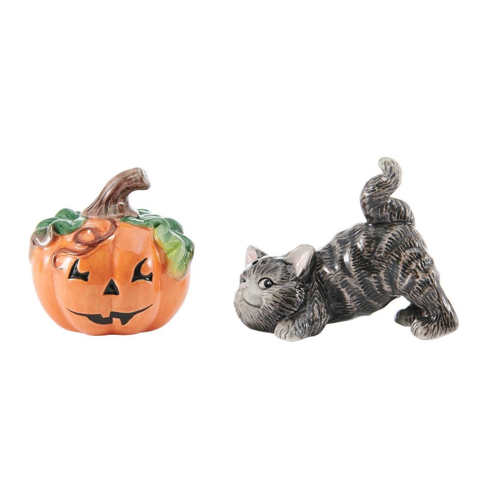 Halloween Kitty and Pumpkin Salt and Pepper Set